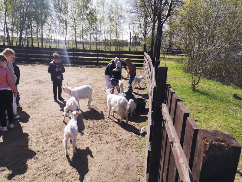 Dzieci wśród zwierząt